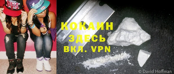 гидра Алексин