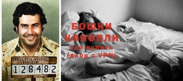 крисы Нея